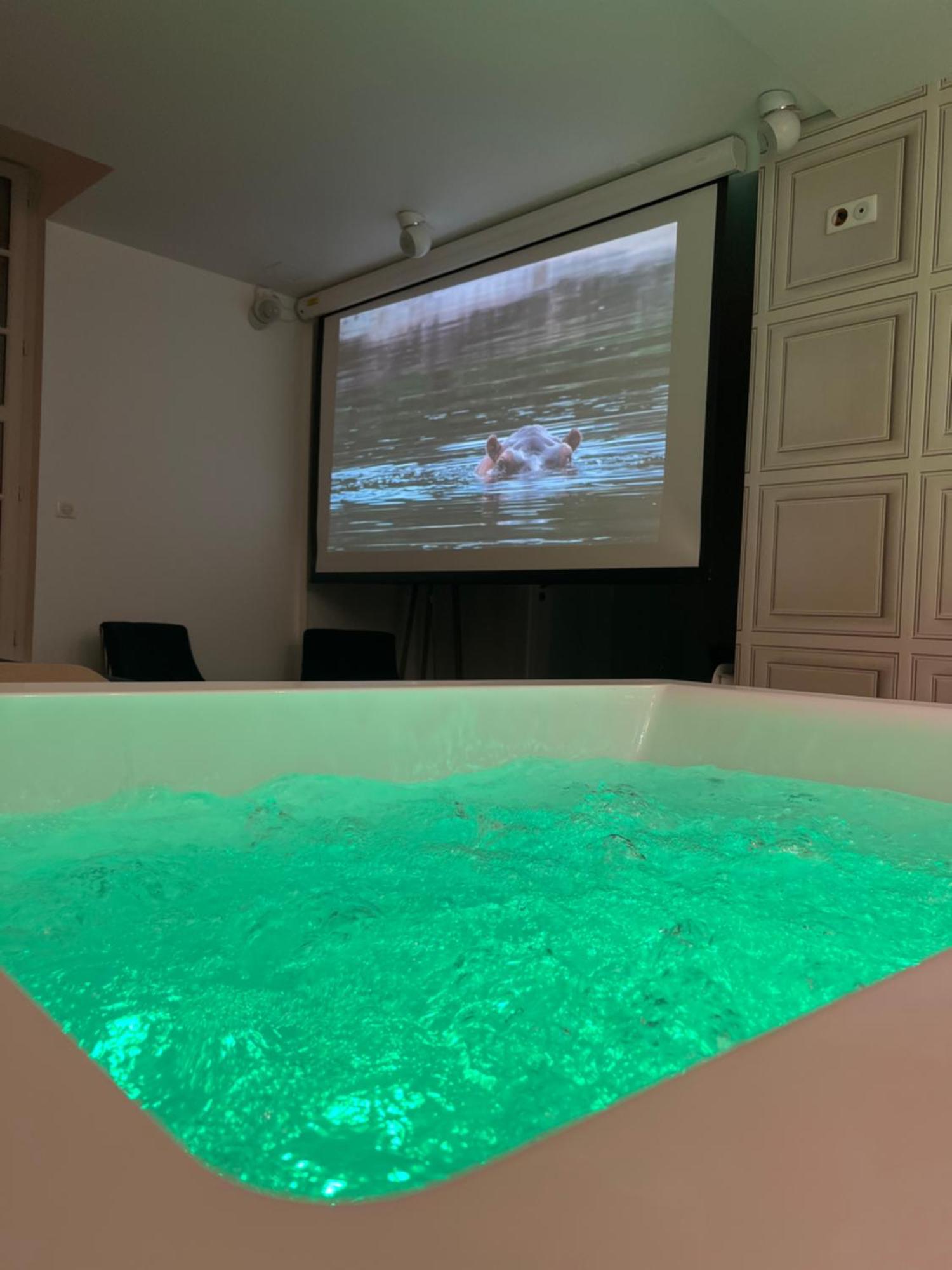 Appartement Avec Jacuzzi Sauna & Home Cinema - Nid D'Angers Exterior foto