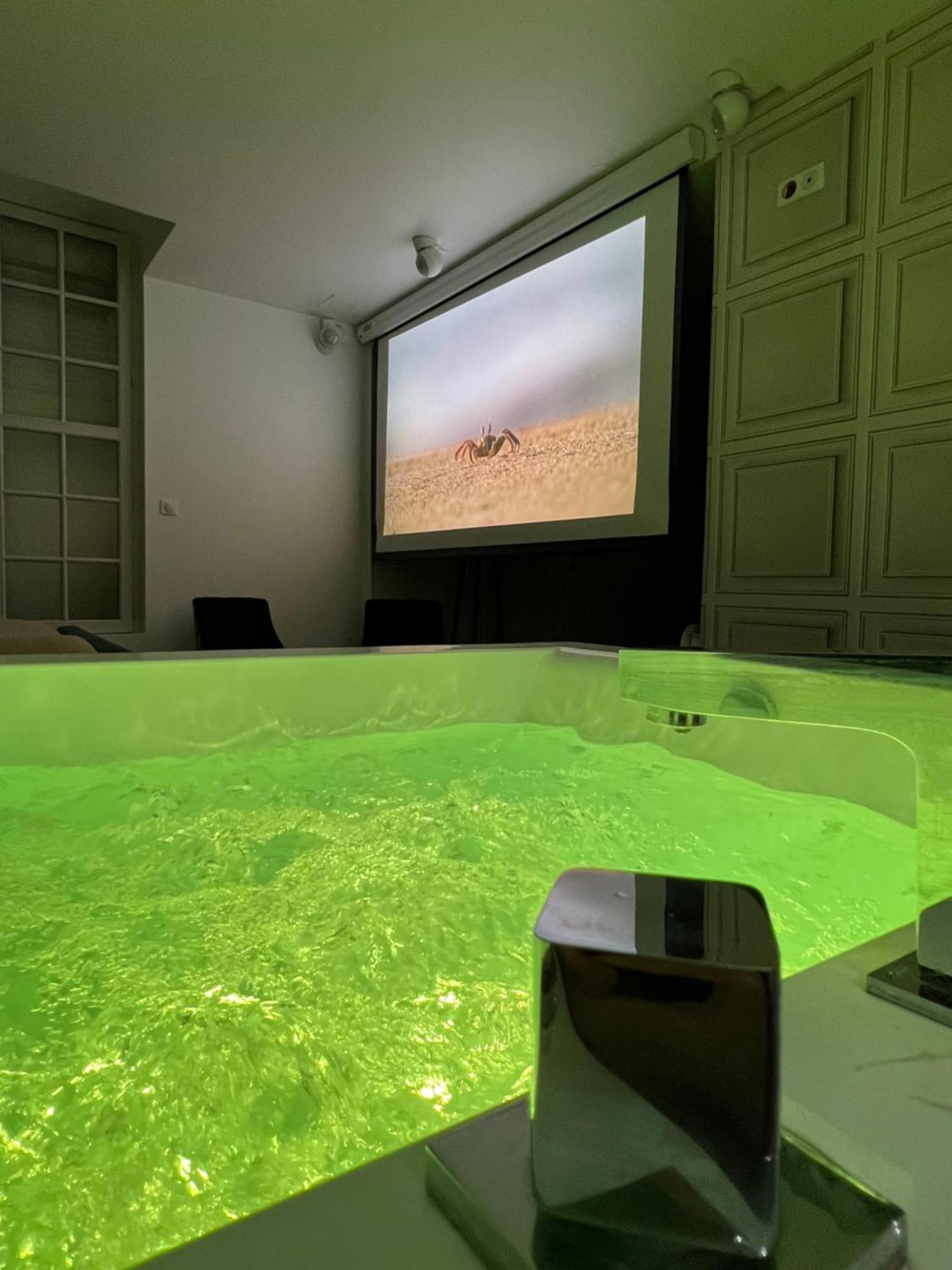 Appartement Avec Jacuzzi Sauna & Home Cinema - Nid D'Angers Exterior foto
